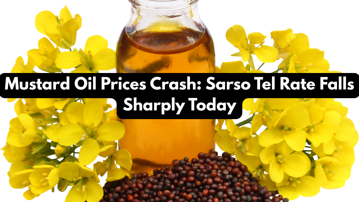 Mustard Oil Prices Crash: Sarso Tel Rate Falls Sharply Today