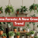 Mini Home Forests: A New Green Living Trend
