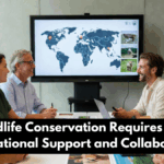 Why Wildlife Conservation Requires Stronger International Support and Collaboration