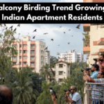 Urban Balcony Birding Trend Growing Among Indian Apartment Residents